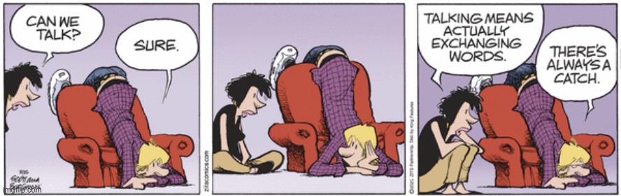 Zits | image tagged in comics | made w/ Imgflip meme maker