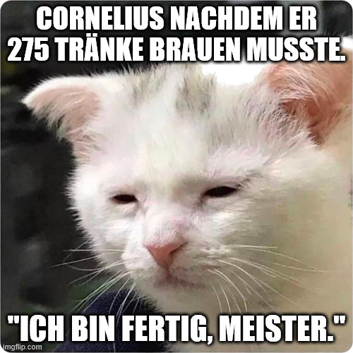 9qm6og.jpg