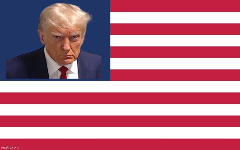 1 Star | image tagged in donald trump,trump,american flag,mugshot | made w/ Imgflip meme maker