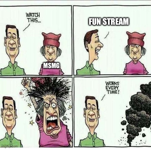 Works Every Time | FUN STREAM; MSMG | image tagged in works every time | made w/ Imgflip meme maker