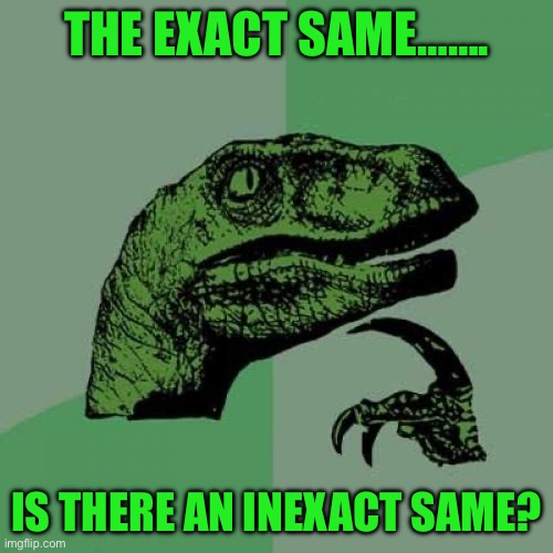 Philosoraptor | THE EXACT SAME……. IS THERE AN INEXACT SAME? | image tagged in memes,philosoraptor | made w/ Imgflip meme maker