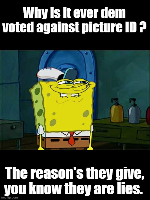 My favorite is, they don't have a birth certificate, or its to hard to access.All valid reasons to let voter fraud to continue | Why is it ever dem voted against picture ID ? The reason's they give, you know they are lies. | image tagged in memes,don't you squidward | made w/ Imgflip meme maker