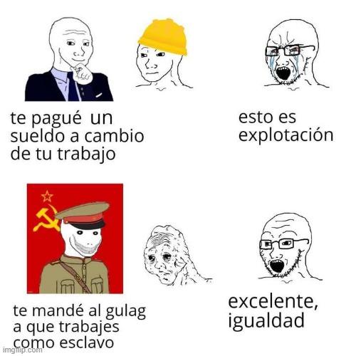9qmn9i.jpg