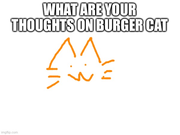 WHAT ARE YOUR THOUGHTS ON BURGER CAT | made w/ Imgflip meme maker