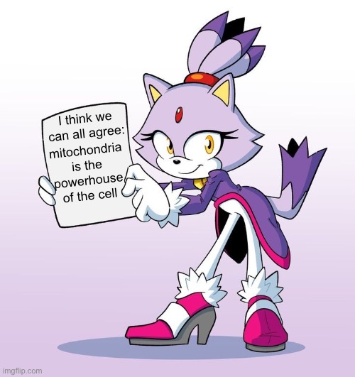No matter what you think of Manticore | I think we can all agree:; mitochondria is the powerhouse of the cell | image tagged in blaze with a sign | made w/ Imgflip meme maker