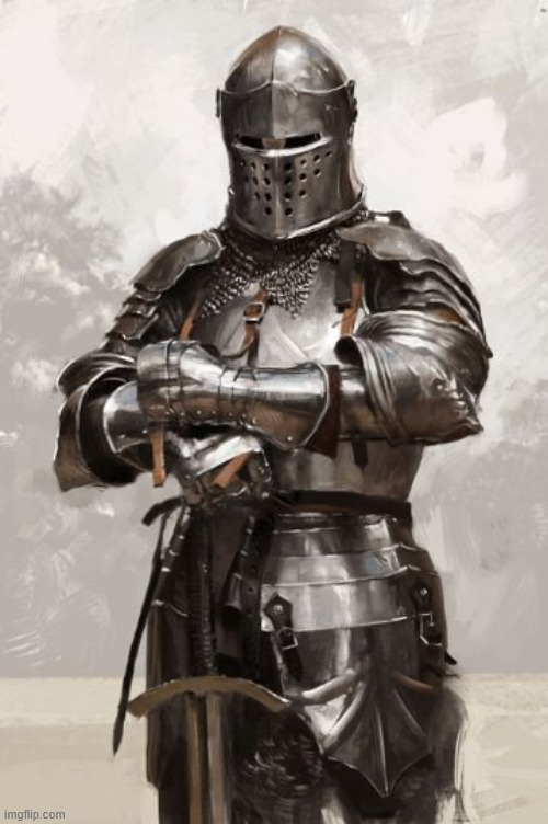 Tarnished Knight  | image tagged in tarnished knight | made w/ Imgflip meme maker