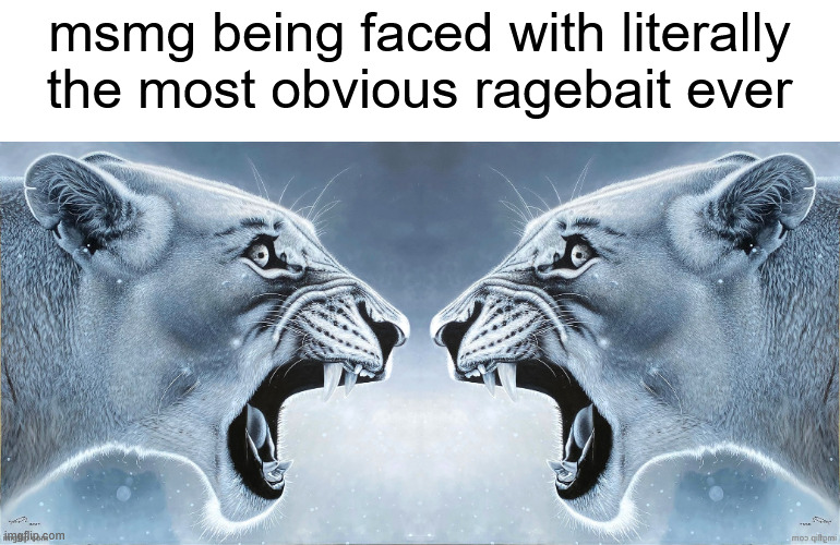 msmg being faced with literally the most obvious ragebait ever | made w/ Imgflip meme maker