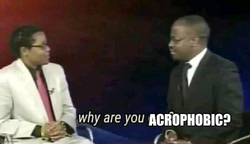 Why are you gay? | ACROPHOBIC? | image tagged in why are you gay | made w/ Imgflip meme maker