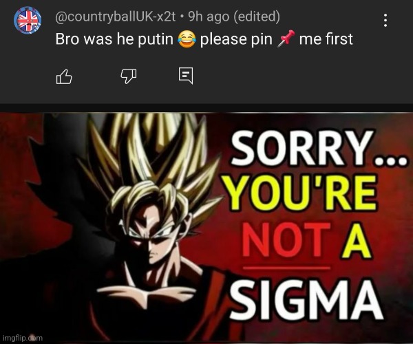 image tagged in goku you're not a sigma | made w/ Imgflip meme maker