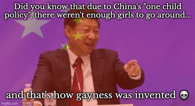 The more yk | Did you know that due to China's "one child policy", there weren't enough girls to go around... and that's how gayness was invented 💀 | made w/ Imgflip meme maker