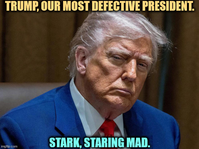 Trump, our most defective president. Frontotemporal dementia. Biden was old. Trump is crazy. | TRUMP, OUR MOST DEFECTIVE PRESIDENT. STARK, STARING MAD. | image tagged in trump our most defective mentally ill president,trump,defective,madness,senile dementia | made w/ Imgflip meme maker