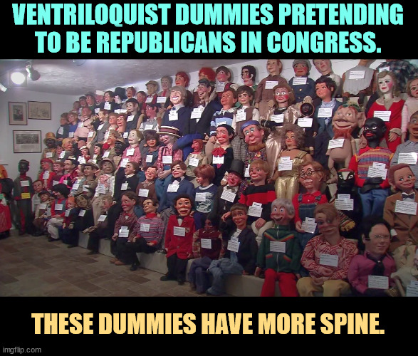 VENTRILOQUIST DUMMIES PRETENDING TO BE REPUBLICANS IN CONGRESS. THESE DUMMIES HAVE MORE SPINE. | image tagged in republicans,congress,dummies,weak,stupid | made w/ Imgflip meme maker