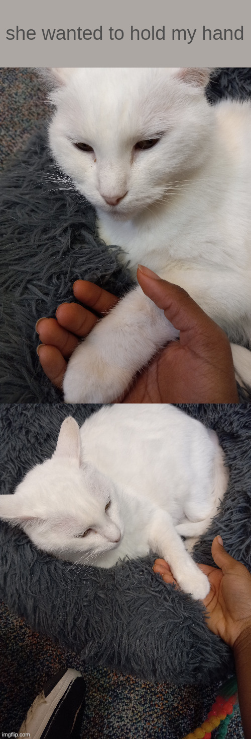 she wanted to hold my hand | made w/ Imgflip meme maker