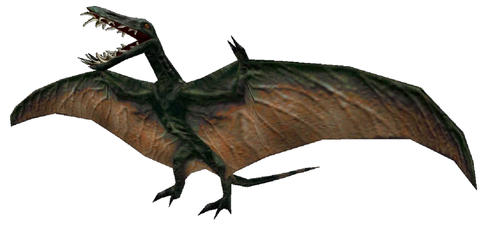 Dorygnathus (FMM UV-32) Blank Meme Template