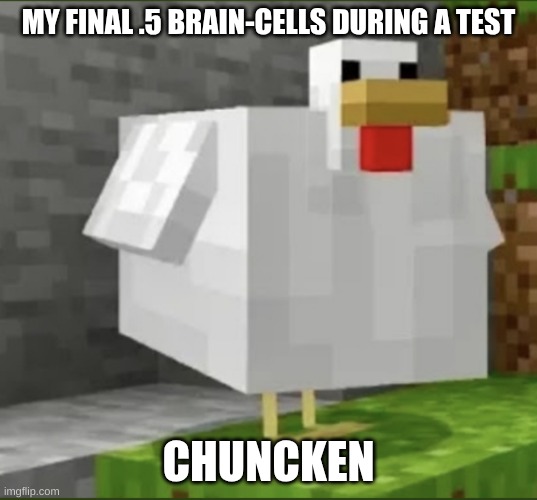 Choncken Jocky | MY FINAL .5 BRAIN-CELLS DURING A TEST; CHUNCKEN | image tagged in cursed chicken | made w/ Imgflip meme maker