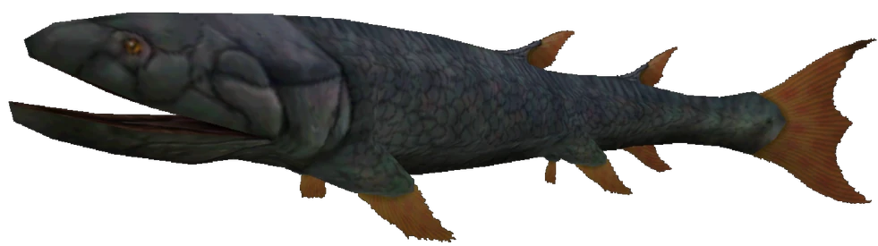 Eusthenopteron (FMM UV-32) Blank Meme Template