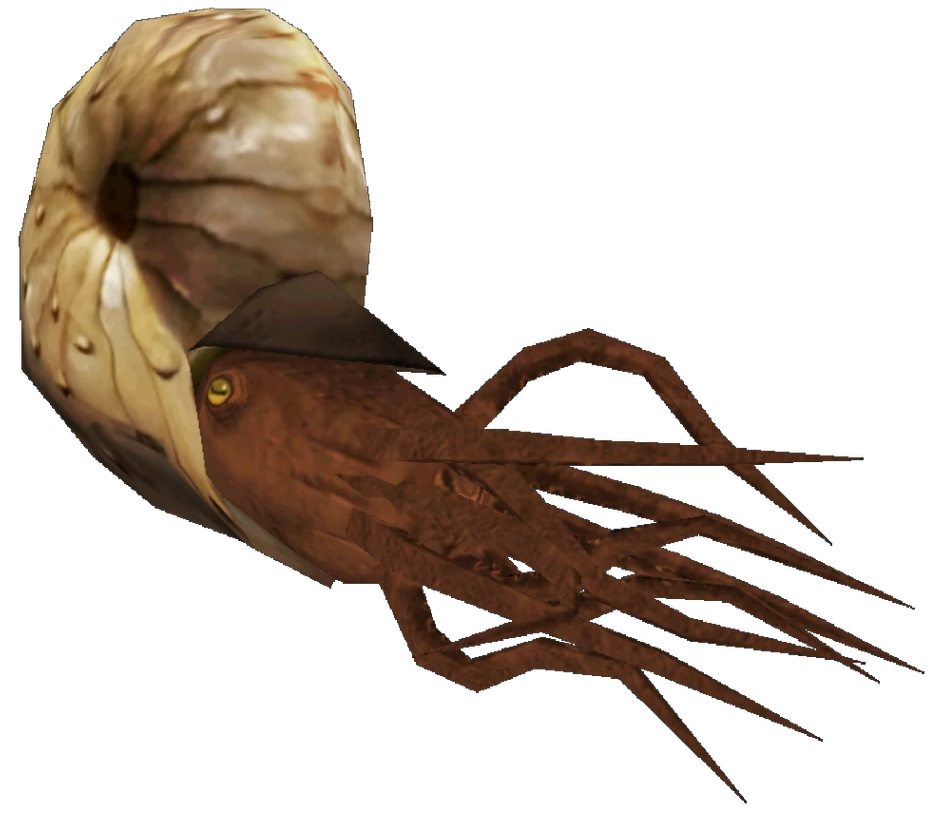 Pleuroceras (FMM UV-32) Blank Meme Template