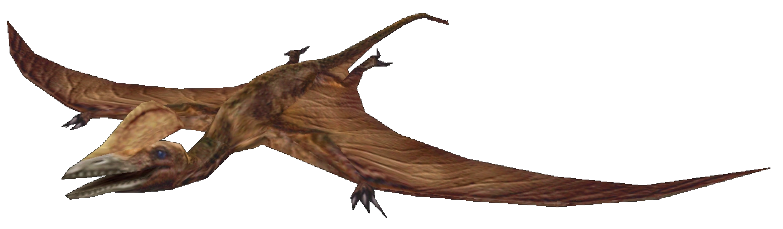 Scaphognathus (FMM UV-32) Blank Meme Template