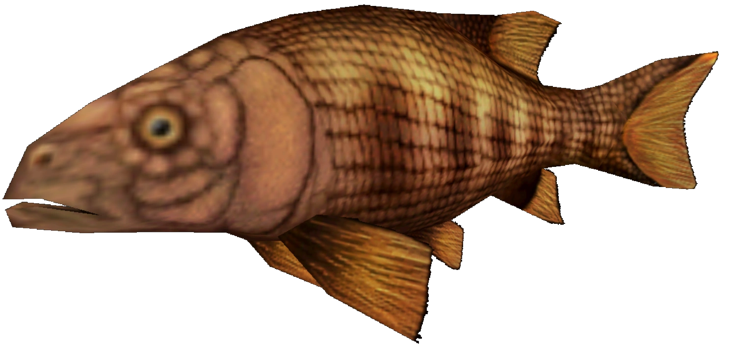 Semionotus (FMM UV-32) Blank Meme Template