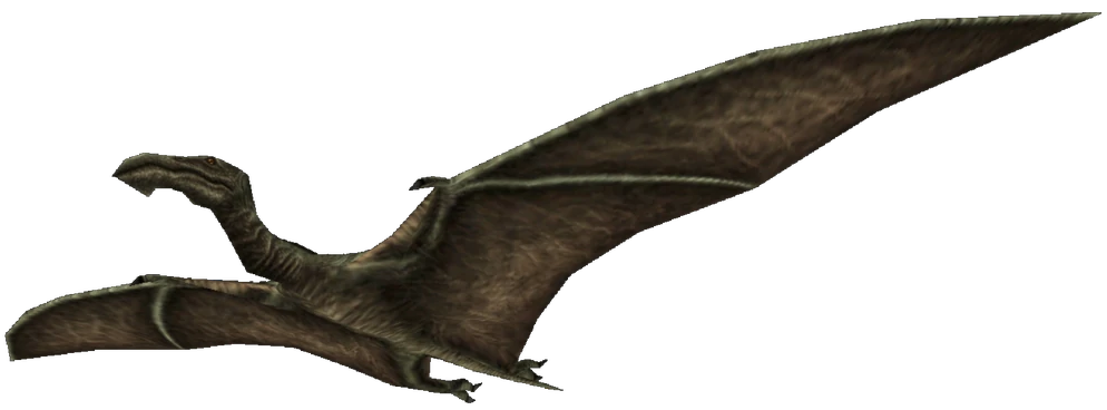 Nesognathus Blank Meme Template