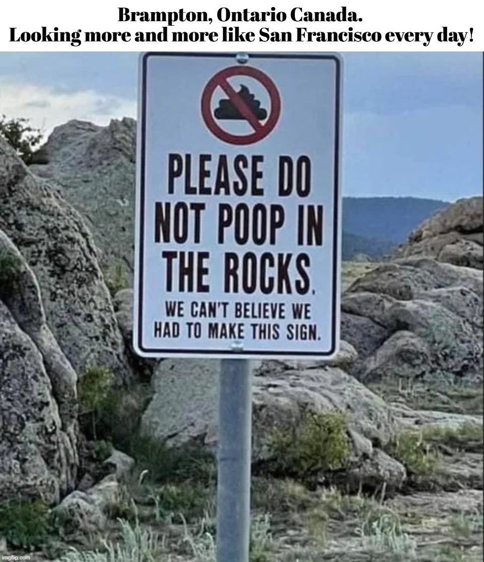 Brampton, Ontario Canada. Looking more and more like San Francisco every day! | image tagged in socialism,poop,dog shit,san francisco,shithole,shithole cities award | made w/ Imgflip meme maker