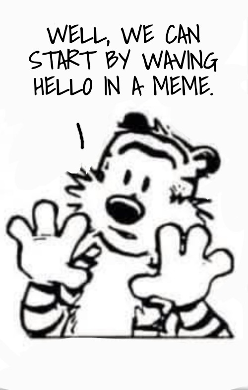 Wait a hot minute | WELL, WE CAN START BY WAVING HELLO IN A MEME. | image tagged in wait a hot minute | made w/ Imgflip meme maker