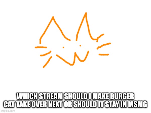 WHICH STREAM SHOULD I MAKE BURGER CAT TAKE OVER NEXT OR SHOULD IT STAY IN MSMG | made w/ Imgflip meme maker