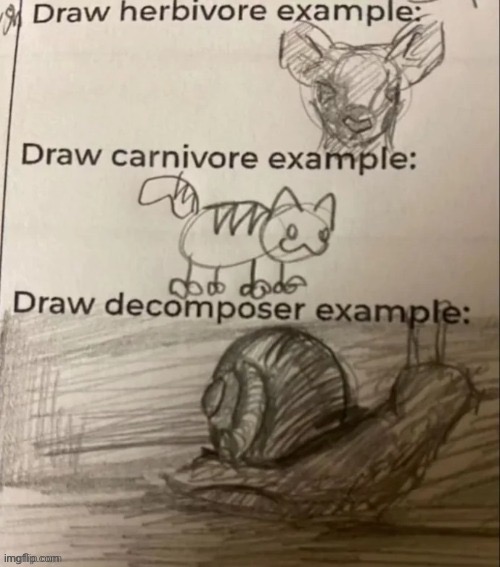 There is a creature, it is called the snail | made w/ Imgflip meme maker