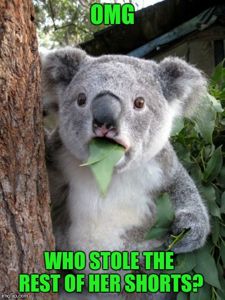 Surprised Koala | OMG WHO STOLE THE REST OF HER SHORTS? | image tagged in memes,surprised koala | made w/ Imgflip meme maker