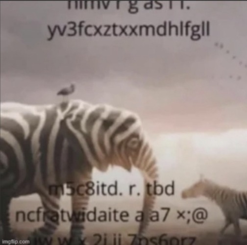 made w/ Imgflip meme maker