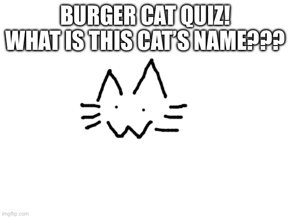 BURGER CAT QUIZ! WHAT IS THIS CAT’S NAME??? | made w/ Imgflip meme maker