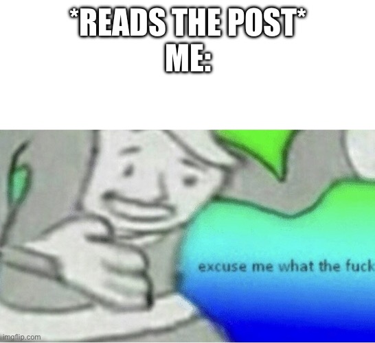 Excuse me wtf blank template | *READS THE POST*
ME: | image tagged in excuse me wtf blank template | made w/ Imgflip meme maker