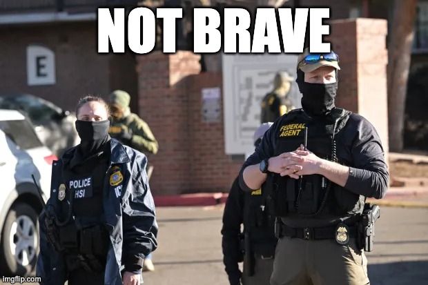 NOT BRAVE | made w/ Imgflip meme maker