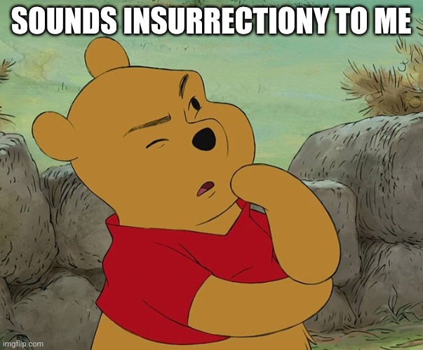 Winnie the Pooh Thinking | SOUNDS INSURRECTIONY TO ME | image tagged in winnie the pooh thinking | made w/ Imgflip meme maker