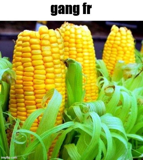 This corny gang Blank Meme Template