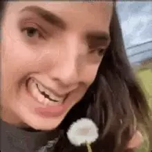 High Quality Dandelion, Must Be The Last One Of The Season Blank Meme Template