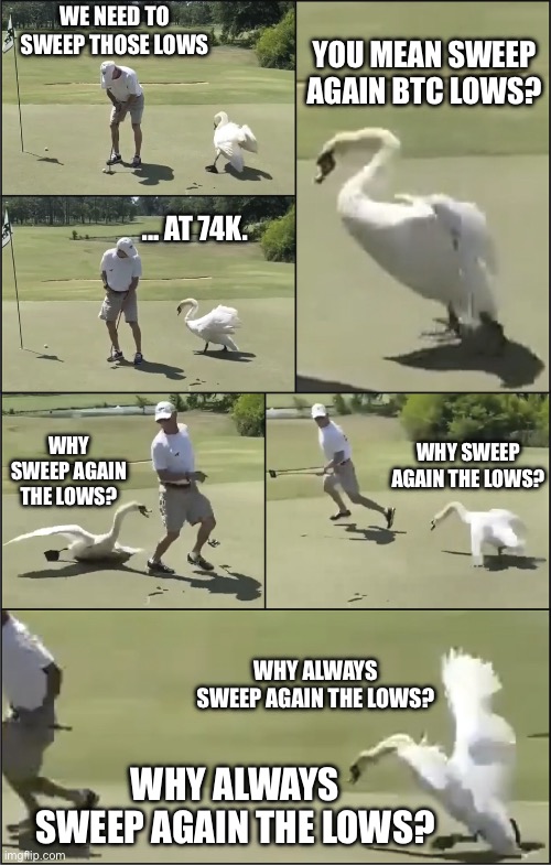 Sweep BTC lows Swan "Goose chase" | WE NEED TO SWEEP THOSE LOWS; YOU MEAN SWEEP AGAIN BTC LOWS? ... AT 74K. WHY SWEEP AGAIN THE LOWS? WHY SWEEP AGAIN THE LOWS? WHY ALWAYS SWEEP AGAIN THE LOWS? WHY ALWAYS SWEEP AGAIN THE LOWS? | image tagged in bitcoin,crypto,cryptocurrency,swan,goose chase,golf | made w/ Imgflip meme maker
