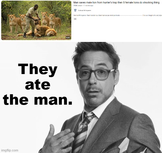 They ate the man. | image tagged in robert downey jr's comments | made w/ Imgflip meme maker