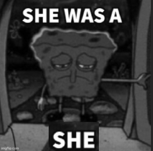 She was a he | image tagged in she was a he | made w/ Imgflip meme maker
