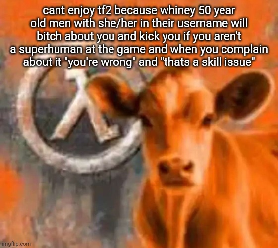 on casual 2fort too | cant enjoy tf2 because whiney 50 year old men with she/her in their username will bitch about you and kick you if you aren't a superhuman at the game and when you complain about it "you're wrong" and "thats a skill issue" | image tagged in calf-life 1 | made w/ Imgflip meme maker