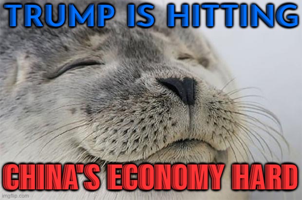 Trump Is Hitting China's Economy Hard | TRUMP IS HITTING; CHINA'S ECONOMY HARD | image tagged in memes,satisfied seal,donald trump,tariffs,china,trade | made w/ Imgflip meme maker