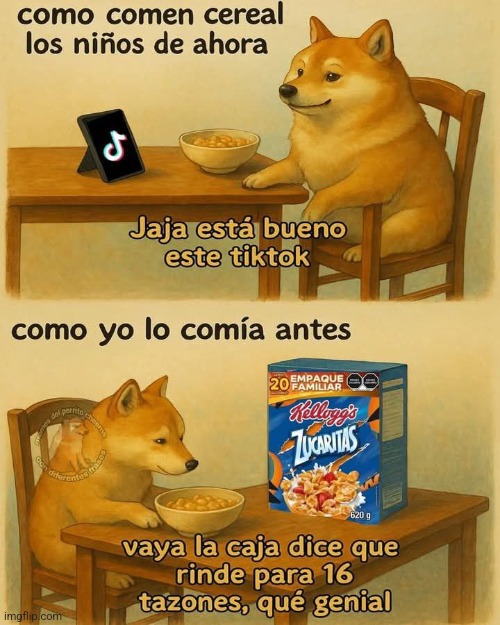 9qpd8q.jpg