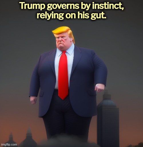 Trump governs by instinct,
relying on his gut. | image tagged in trump,stupid,dumb,idiot,fool,jerk | made w/ Imgflip meme maker