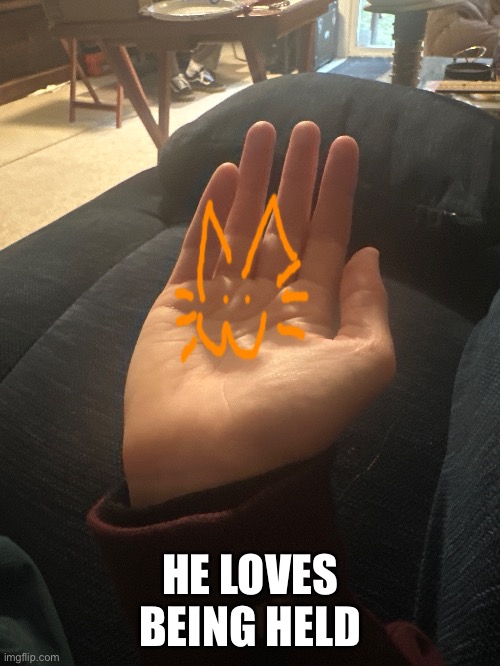 HE LOVES BEING HELD | made w/ Imgflip meme maker