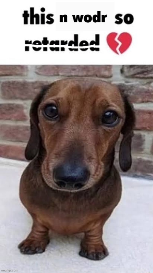 This nigga so retarded dog | image tagged in this nigga so retarded dog | made w/ Imgflip meme maker