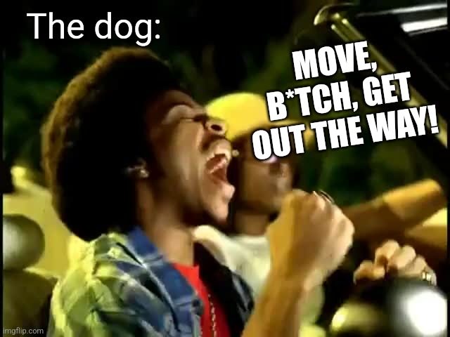 Move Bitch | The dog: MOVE, B*TCH, GET OUT THE WAY! | image tagged in move bitch | made w/ Imgflip meme maker