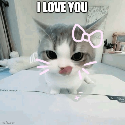 @you know who | I LOVE YOU | image tagged in yy | made w/ Imgflip meme maker
