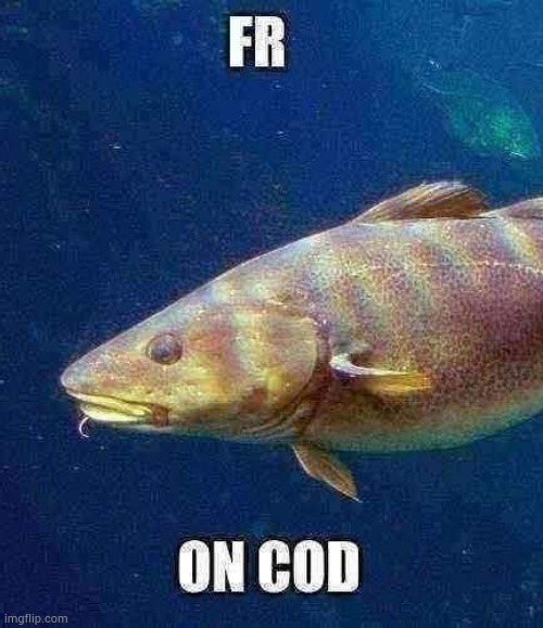 fr on cod | image tagged in fr on cod | made w/ Imgflip meme maker