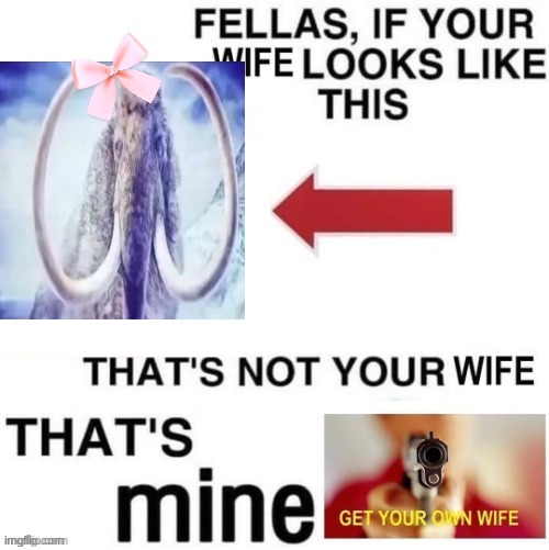 That's not your wife that's mine | image tagged in that's not your wife that's mine | made w/ Imgflip meme maker