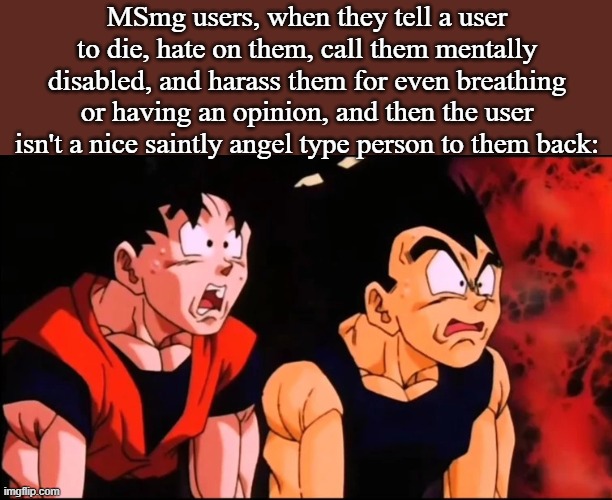 goku and vegeta shocked | MSmg users, when they tell a user to die, hate on them, call them mentally disabled, and harass them for even breathing or having an opinion, and then the user isn't a nice saintly angel type person to them back: | image tagged in goku and vegeta shocked | made w/ Imgflip meme maker